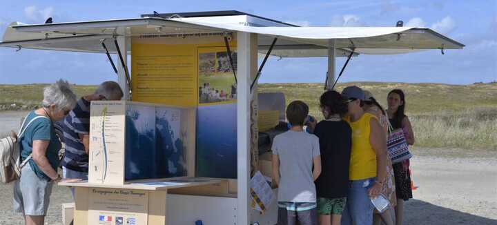 La Voyageuse des Dunes Sauvages