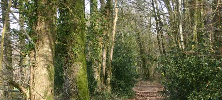 Balade en langue bretonne