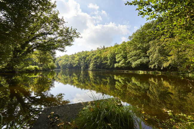 petit-bois-etang-camors_1656x1104